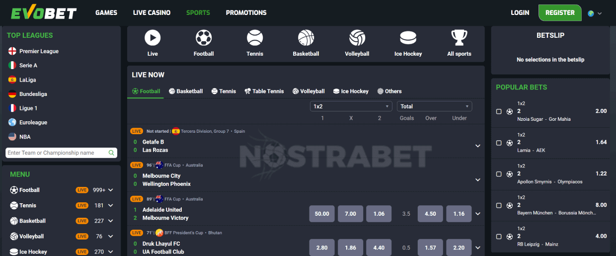 homepage of evobet